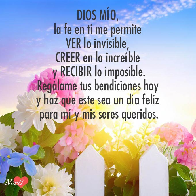 Dios mío, la fe en ti me permite ver lo invisible, creer en lo increíble y recibir lo imposible. Regálame tus bendiciones hoy y haz que este sea un día feliz para mí y mis seres queridos Flores en una cerca al salir el sol