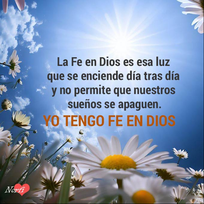 La Fe en Dios es esa luz que se enciende día tras día y no permite que nuestros sueños se apaguen. Yo tengo fe en Dios Flores al amanecer bajo los rayos del sol