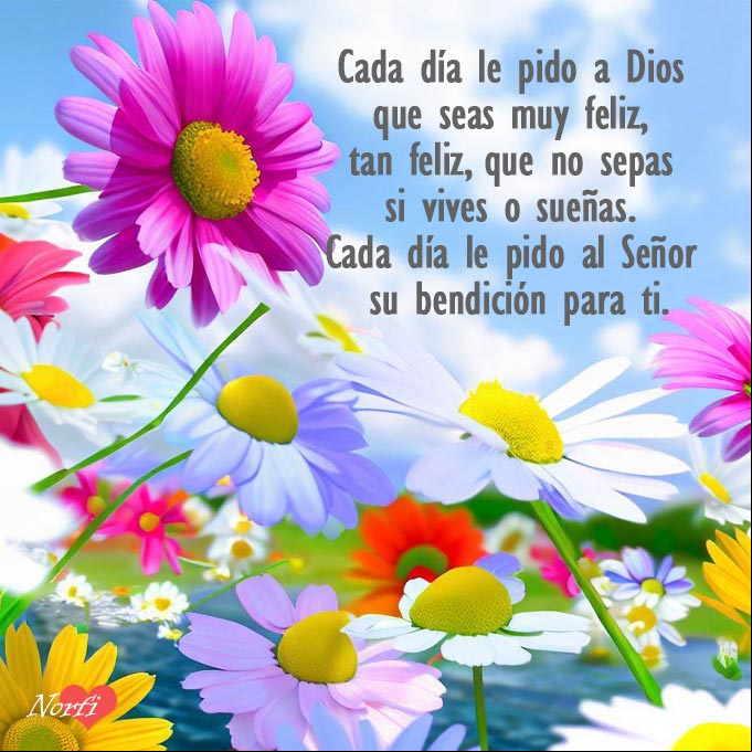 Cada día le pido a Dios que seas muy feliz, tan feliz, que no sepas si vives o sueñas. Cada día le pido al Señor su bendición para ti Flores bajo el cielo azul con mensaje de petición a Dios