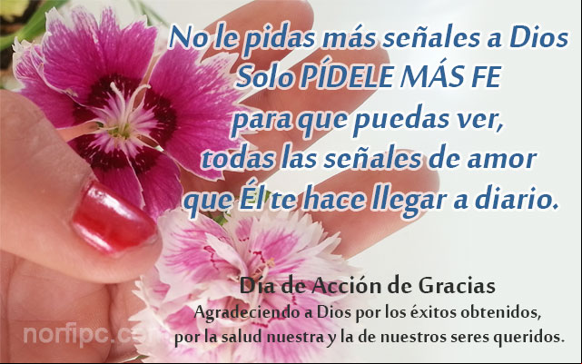 Mensaje cristiano para agradecer a Dios en el Día de Acción de Gracias, por los éxitos obtenidos, por la salud nuestra y la de nuestros seres queridos Mensaje para agradecer a Dios en el Día de Acción de Gracias