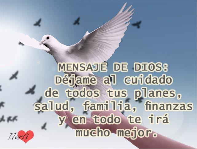 MENSAJE DE DIOS: Déjame al cuidado de todos tus planes, salud, familia, finanzas y tus cosas y en todo te irá mucho mejor Un mensaje de Dios