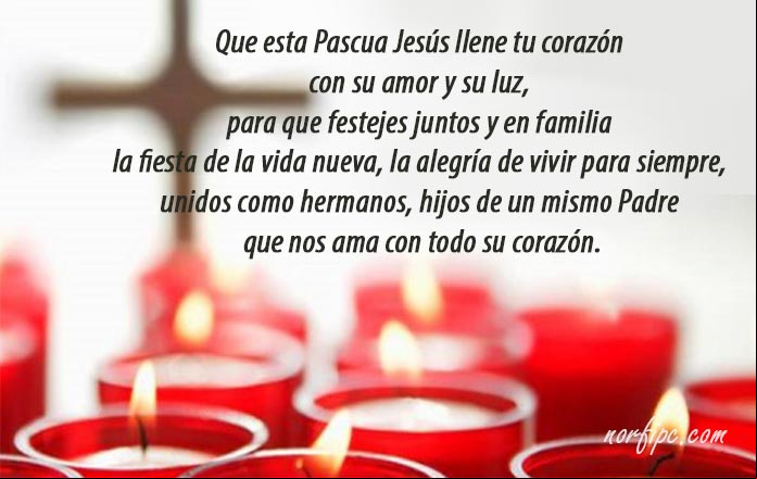 Mensaje de Semana Santa para vivir unidos como hermanos, hijos de un mismo Padre Mensaje de Semana Santa para vivir unidos como hermanos, hijos de un mismo Padre