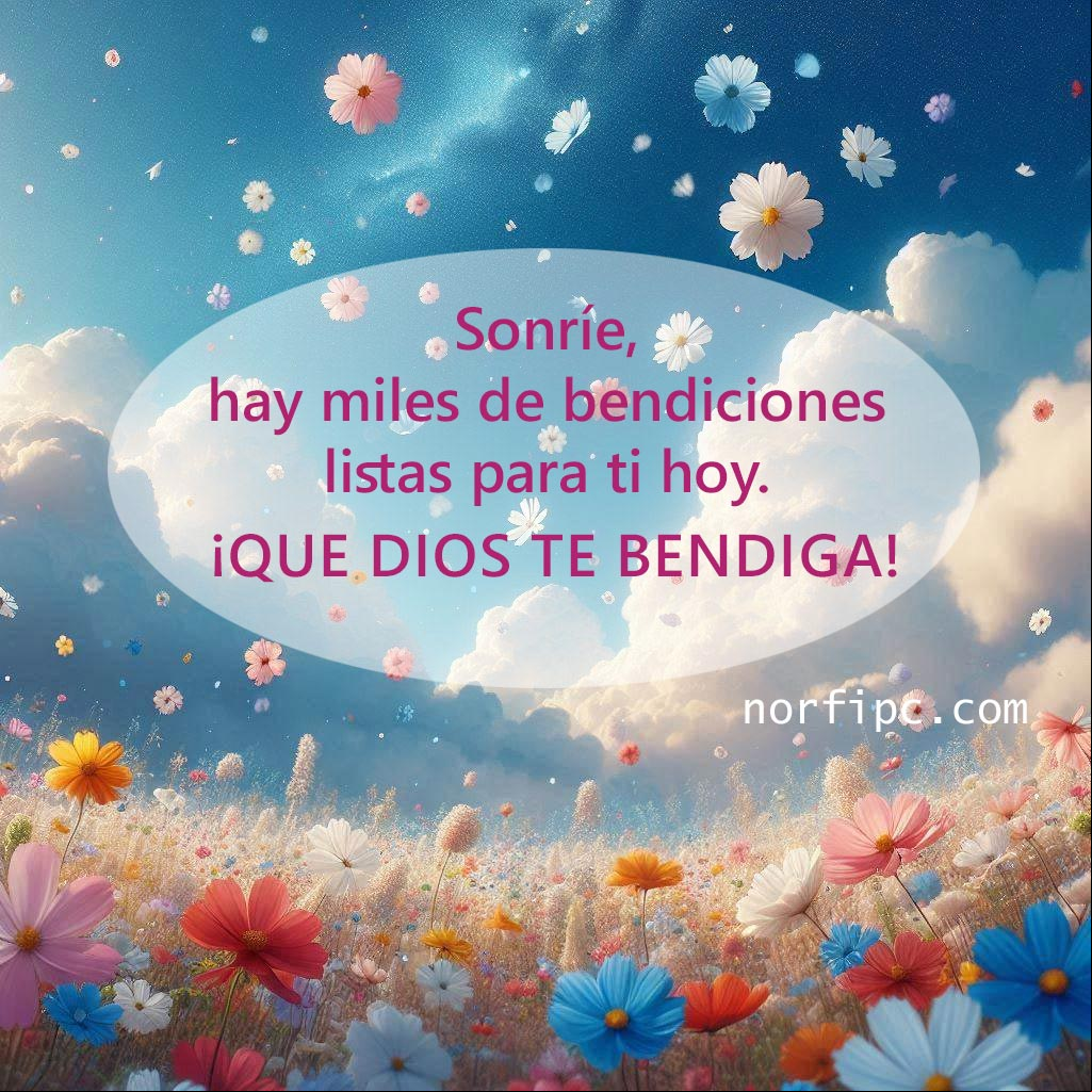 Sonríe, hay miles de bendiciones listas para ti hoy. ¡Que Dios te bendiga! Flores silvestres volando en el cielo azul