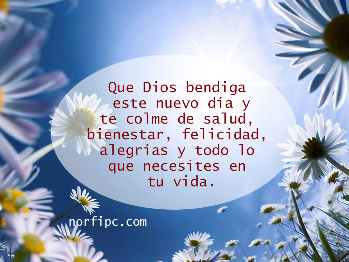 Que Dios bendiga este nuevo día. Que te colme de salud, bienestar, felicidad, alegrías y todo lo que necesites en tu vida Flores bajo el cielo azul y rayos del sol