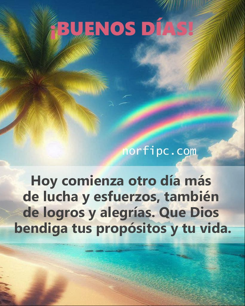 Hoy comienza otro día más de lucha y esfuerzos, también de logros y alegrías. Que Dios bendiga tus propósitos y tu vida Amanecer un una playa con palmera, arcoíris y mar azul