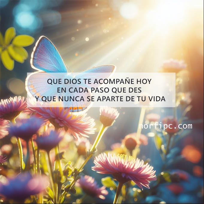 Que Dios te acompañe hoy en cada paso que des y que nunca se aparte de tu vida Mariposa volando entre flores al amanecer