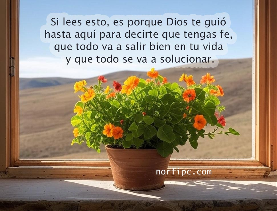 Si lees esto, es porque Dios te guió hasta aquí para decirte que tengas fe, que todo va a salir bien en tu vida y que todo se va a solucionar. Flores en el marco de una ventana