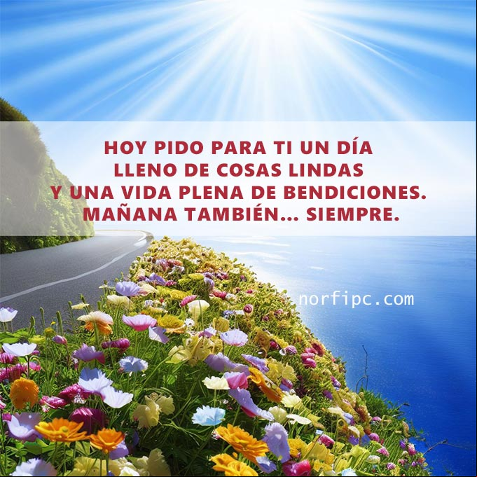 Hoy pido para ti un día lleno de cosas lindas y una vida plena de bendiciones. Mañana también... siempre Carretera al lado del mar con flores, rayos del sol