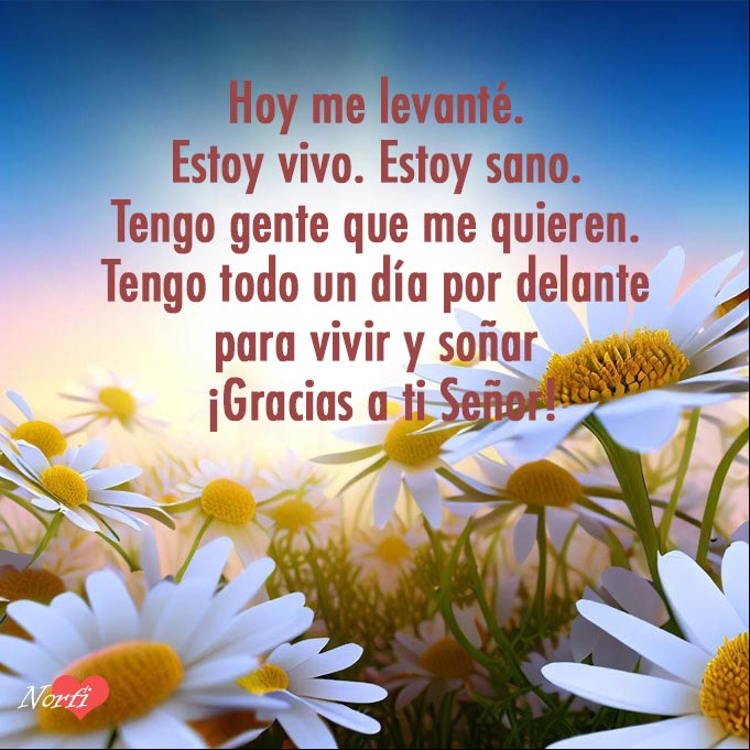 Hoy me levanté. Estoy vivo. Estoy sano. Tengo gente que me quieren. Tengo todo un día por delante para vivir y soñar. ¡Gracias a ti Señor! Pradera con flores por la mañana