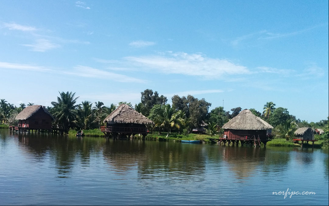 Guama y la Laguna del Tesoro en la Ciénaga de Zapata, Parque Nacional, Reserva de la Biosfera y Sitio Ramsar de Cuba Guama y la Laguna del Tesoro en la Ciénaga de Zapata, Parque Nacional, Reserva de la Biosfera y Sitio Ramsar de Cuba