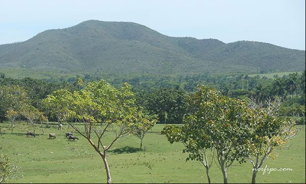 Lomas de Galindo una Reserva Florística Manejada de Cuba Lomas de Galindo una Reserva Florística Manejada de Cuba