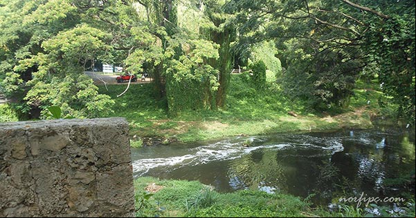 Vista del Rio Almendares desde el Puente de Piedra