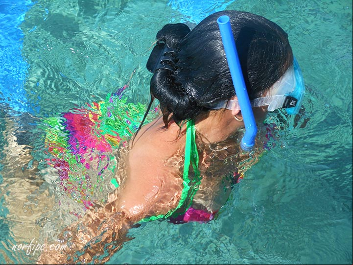 Nadando con peces en la Caleta de los Peces en Caleta Buena, instalación turística de la Ciénaga de Zapata Nadando con peces en la Caleta de los Peces en Caleta Buena