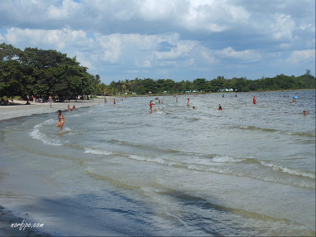 Franja de arena de Playa Larga, playa popular en la Ciénaga de Zapata Franja de arena de Playa Larga, playa popular en la Ciénaga de Zapata