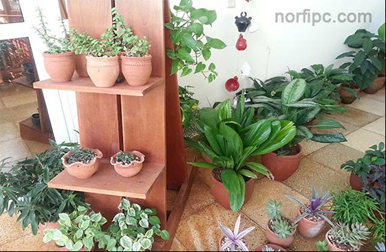 Tienda de plantas en el Jardín Botánico de la Habana Tienda de plantas en el Jardín Botánico de la Habana