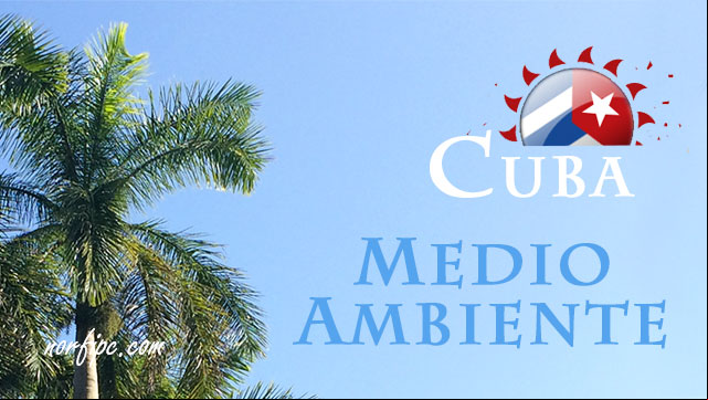 Estado del medio ambiente en Cuba Estado del medio ambiente en Cuba