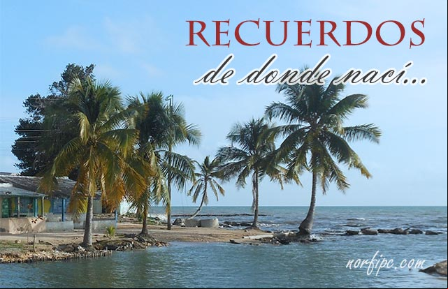 Recuerdos de Melena del Sur, el sitio donde nací Recuerdos de Melena del Sur, el sitio donde nací
