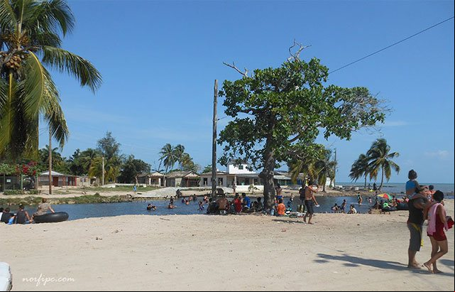 Área de la desembocadura del rio Mayabeque Área de la desembocadura del rio Mayabeque