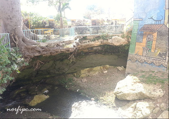 Entrada de la Cueva del sumidero del Rio Ariguanabo en San Antonio de los Baños Entrada de la Cueva del sumidero del Rio Ariguanabo en San Antonio de los Baños