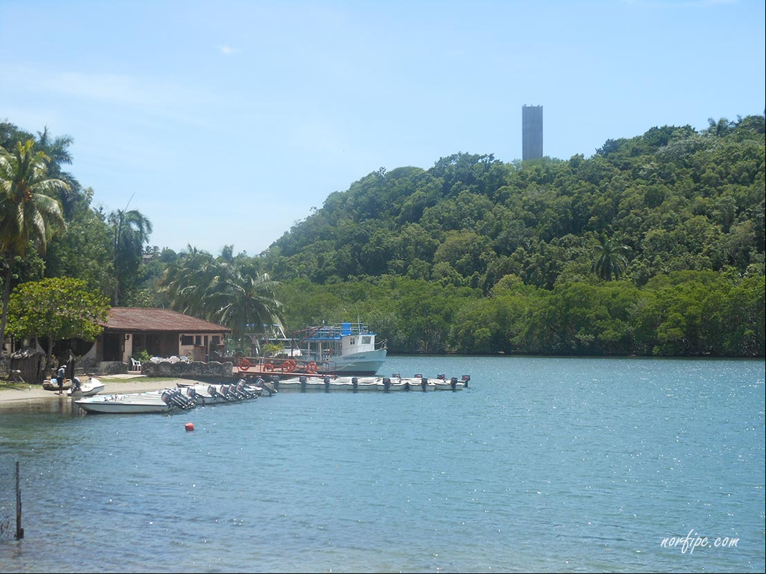 Paisaje del Rio Canímar en Matanzas Paisaje del Rio Canímar en Matanzas