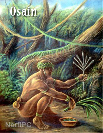 Osain. Orisha médico y adivino Dueño de los secretos de la naturaleza, plantas, animales y minerales Orisha yoruba Osain