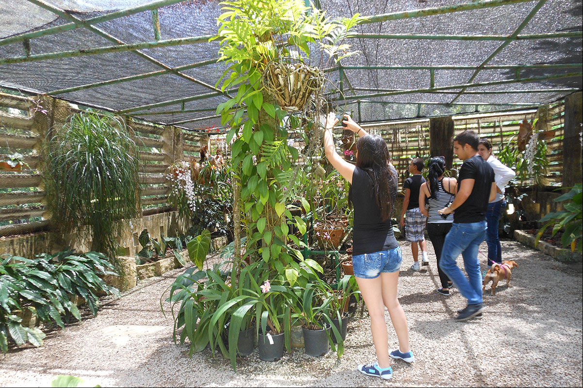 Orquideograma, umbráculo en el Orquideario de Soroa Orquideograma, umbráculo en el Orquideario de Soroa