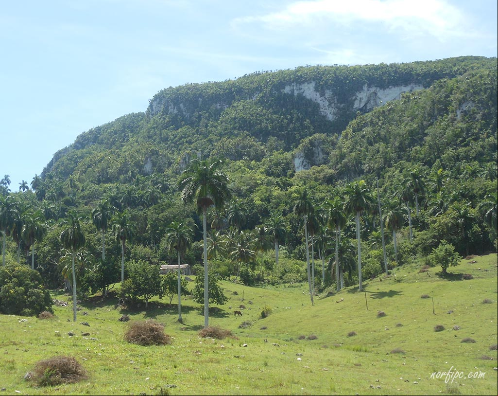 Paisaje de la Loma el Palenque, elevacion de la Sierra de Camarones desde el Valle Elena Paisaje de la Loma el Palenque en la Sierra de Camarones