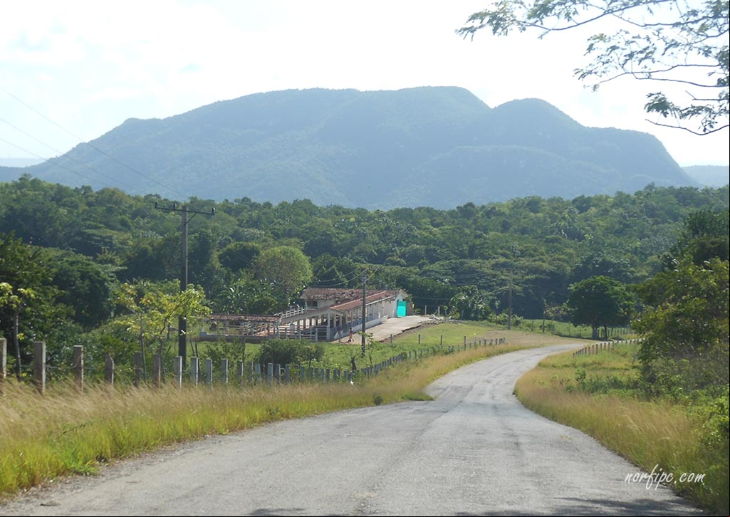Una vaquería en el Valle de Montes de Oro. Al fondo a lo lejos el Pan de Matanzas Una vaquería en el Valle de Montes de Oro