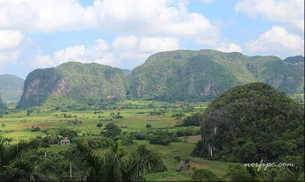 Paisaje del Valle de Viñales donde se pueden ver los mogotes Paisaje del Valle de Viñales donde se pueden ver los mogotes
