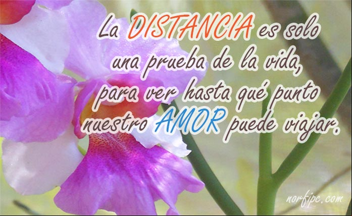 La distancia es solo una prueba de la vida, para ver hasta qué punto nuestro amor puede viajar. #Distancia Frases para un amor a pesar de la separación y la distancia