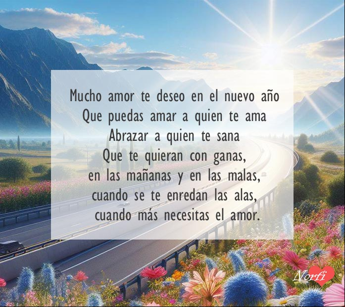 Mucho amor te deseo en este nuevo año