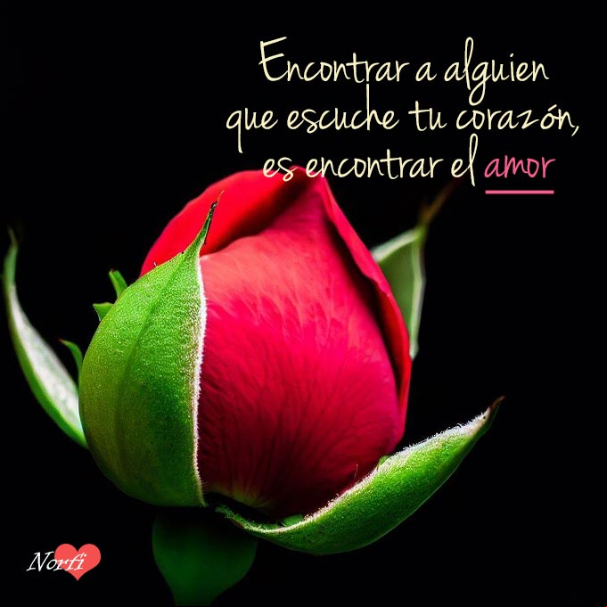 Encontrar a alguien que escuche tu corazón, es encontrar el amor Capullo de rosa roja con fondo negro
