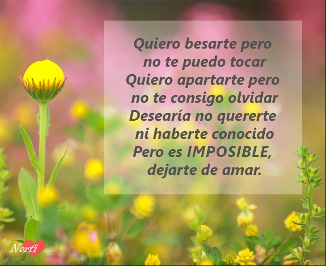 Es imposible, dejarte de amar Es imposible, dejarte de amar