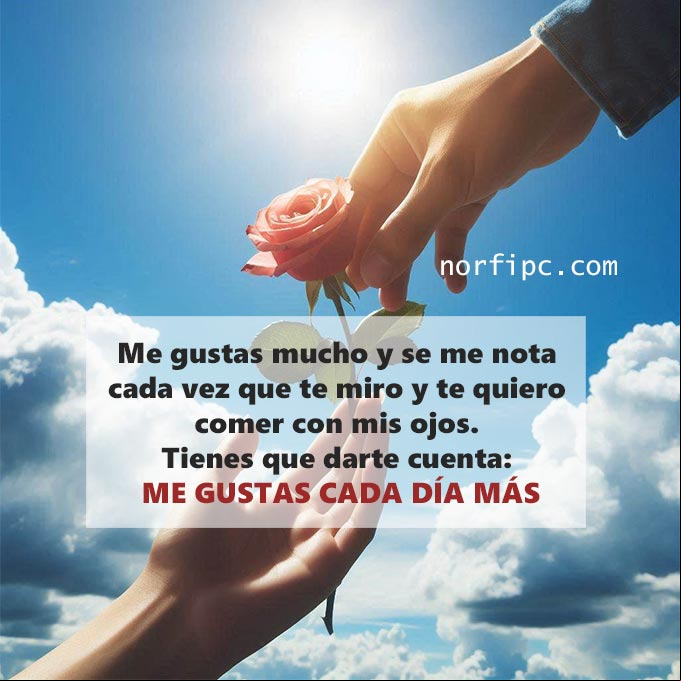 Me gustas mucho y se me nota cada vez que te miro y te quiero comer con mis ojos. Tienes que darte cuenta, me gustas cada día más Mano de hombre entregando una rosa en la mano de una mujer