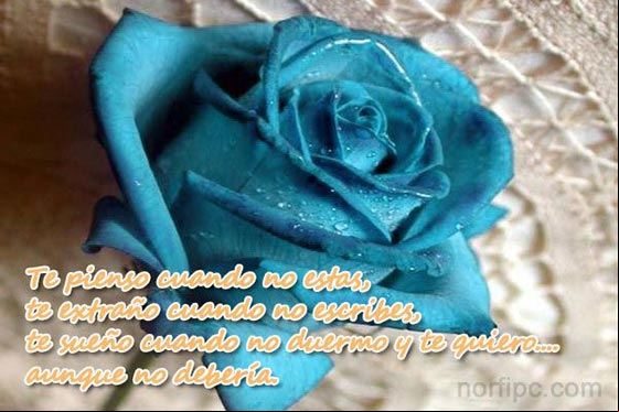 Para ti si quieres a alguien sin ser correspondida Para ti si quieres a alguien sin ser correspondida