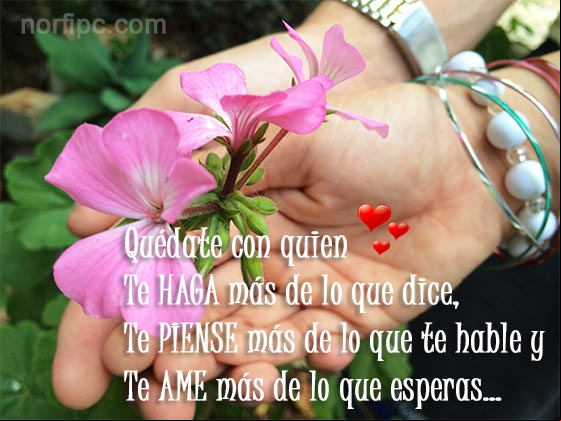 Quédate con quien te haga más de lo que dice, te piense más de lo que te hable y te ame más de lo que esperas Frases para decidirte si no sabes con quien debes quedarte