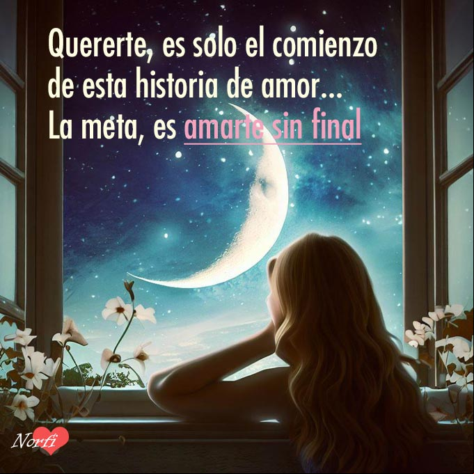 Quererte, es solo el comienzo de esta historia de amor, la más linda que he conocido. La meta, es amarte sin final Mujer mirando por la ventana la luna y noche estrellada