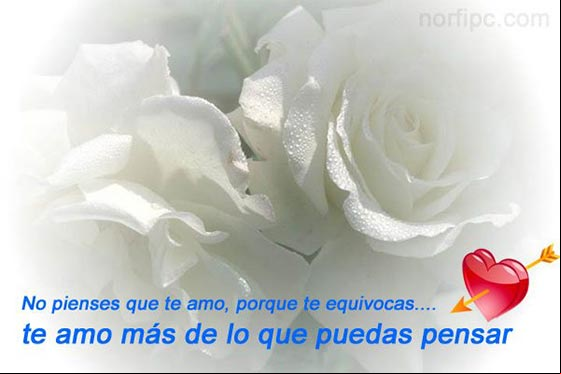 No pienses que te amo poque te equivocas, te amo mas de lo que puedas pensar No pienses que te amo poque te equivocas, te amo mas de lo que puedas pensar