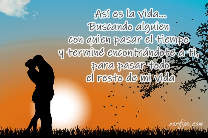 Frases de amor para alguien especial que llegó a mi vida