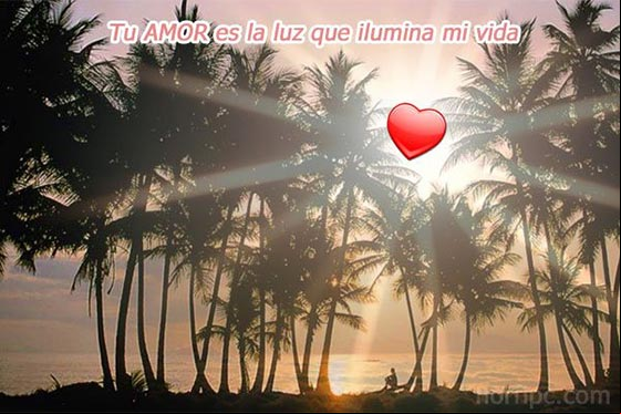Tu amor es la luz que ilumina mi vida Tu amor es la luz que ilumina mi vida