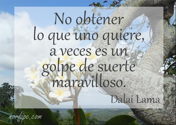 No obtener lo que uno quiere, a veces es un golpe de suerte maravilloso. Frase de #DalaiLama No obtener lo que uno quiere, a veces es un golpe de suerte maravilloso. #DalaiLama