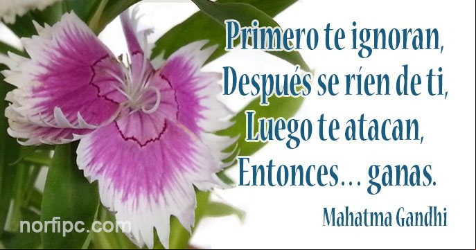 Primero te ignoran, después se ríen de ti, luego te atacan, entonces... ganas. Pensamiento de Mahatma Gandhi Pensamiento de Mahatma Gandhi