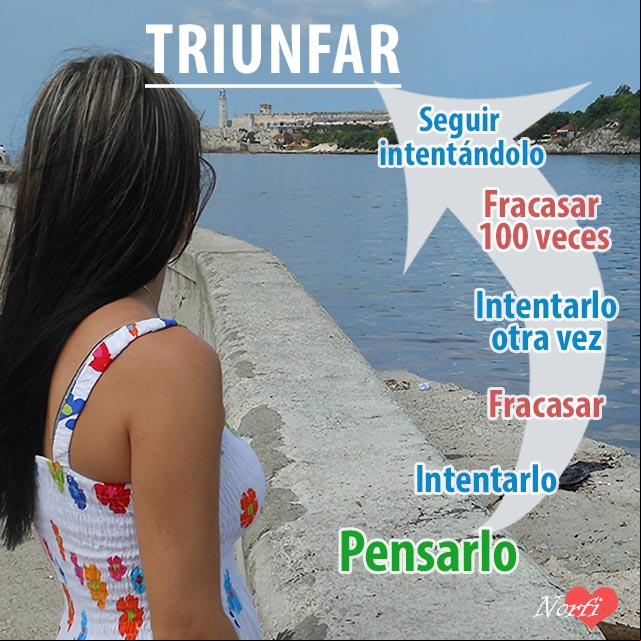 Para triunfar en cualquier aspecto en la vida, es necesario pensarlo, intentarlo y volver a intentarlo 100 o mil veces más si es necesario, sin miedo a fracasar Frase sobre el exito en la vida y la lucha para poder triunfar