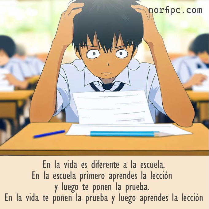 En la vida es diferente a la escuela. En la escuela primero aprendes la lección y luego te ponen la prueba. En la vida te ponen la prueba y luego aprendes la lección Reflexiones sobre cosas que nos enseña la vida