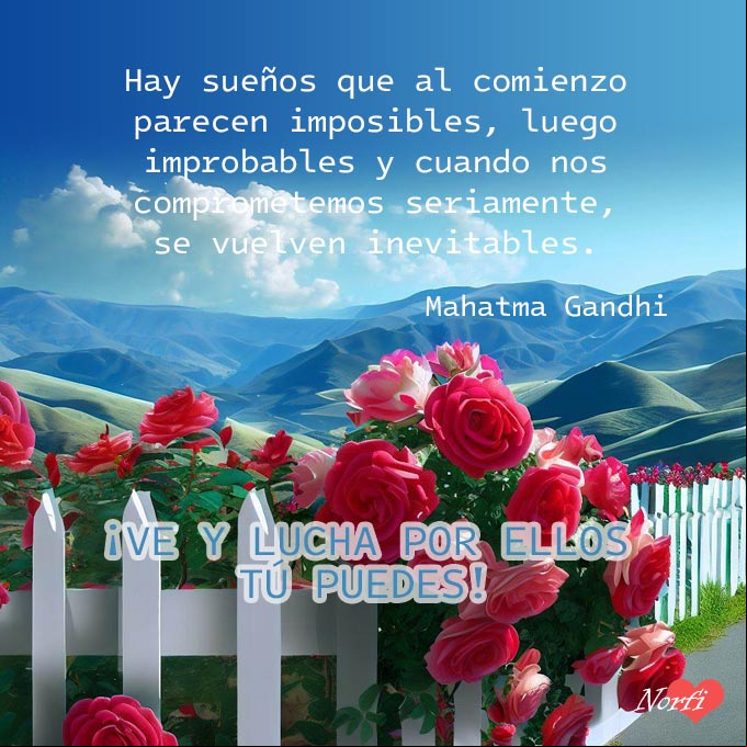 Hay sueños que al comienzo parecen imposibles, luego improbables y cuando nos comprometemos seriamente, se vuelven inevitables. Cita de Mahatma Gandhi Cerca con rosas en una carretera