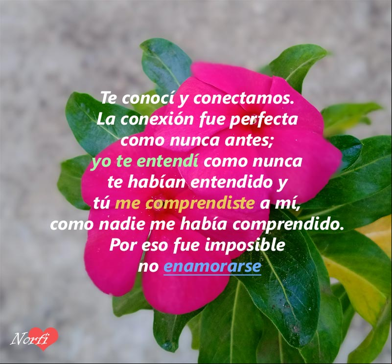 Te conocí y conectamos. Por eso fue imposible no enamorarse Poema para decirle que fue imposible no enamorarse, con una foto de una vicaria rofa de fondo