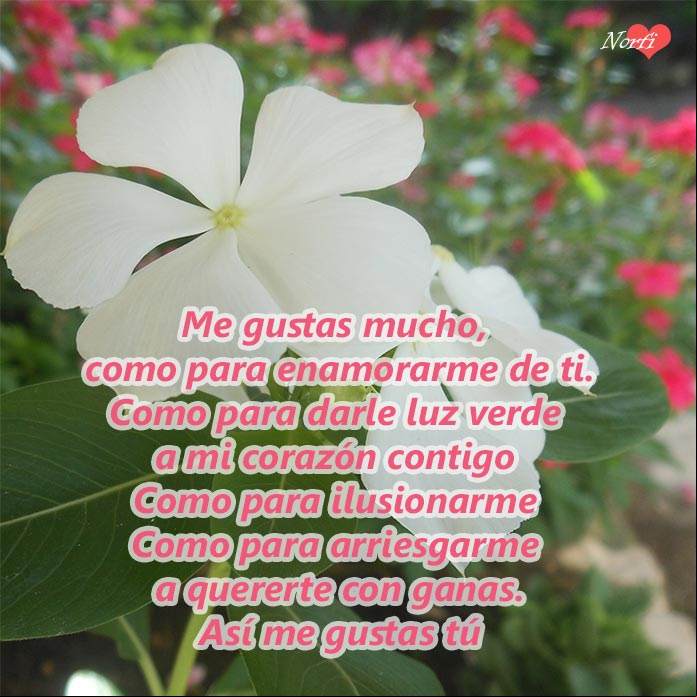 Poema de amor para una persona que me gusta mucho