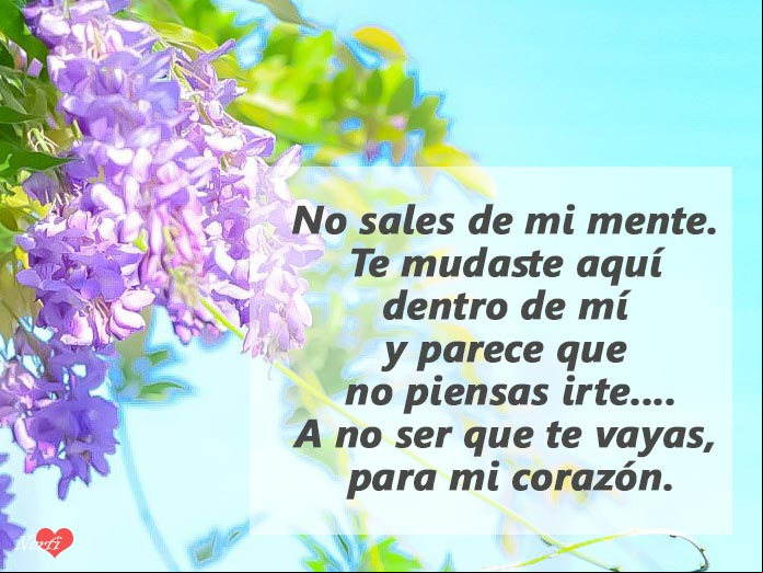 No sales de mi mente