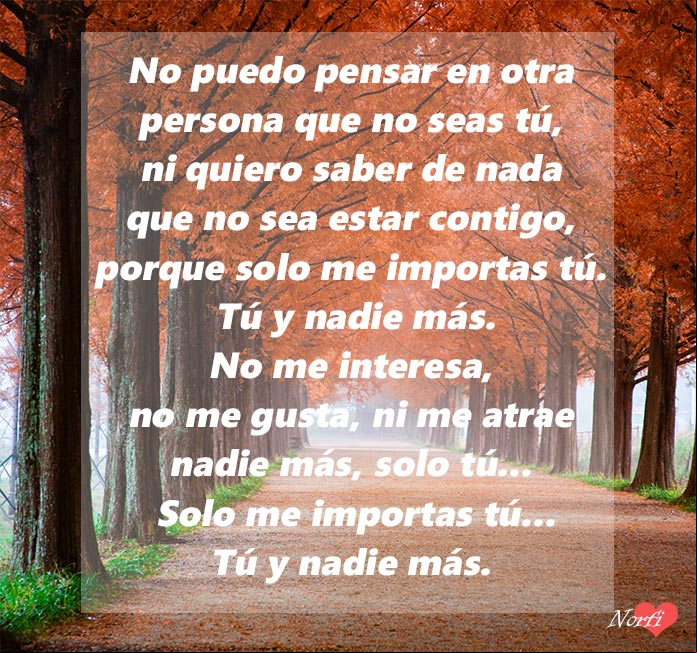 Poema de amor: Solo me importas tú