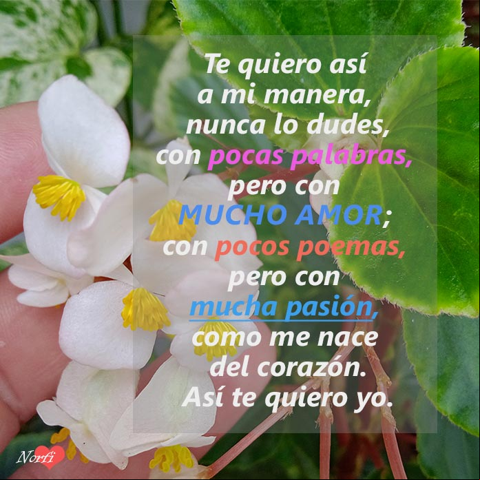 Te quiero con pocas palabras, pero mucho amor Yo te quiero a mi manera